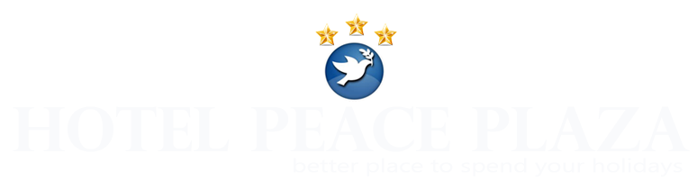 Plaza Treks & Expedition P. Ltd logo